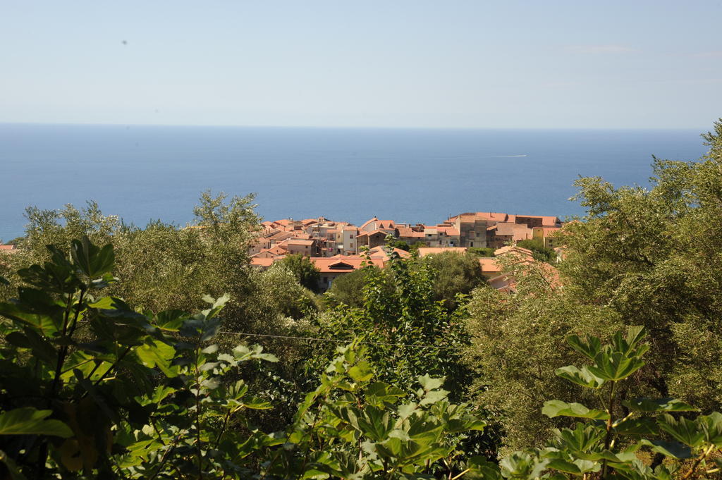 Willa Agriturismo La Focazza Ascea Zewnętrze zdjęcie